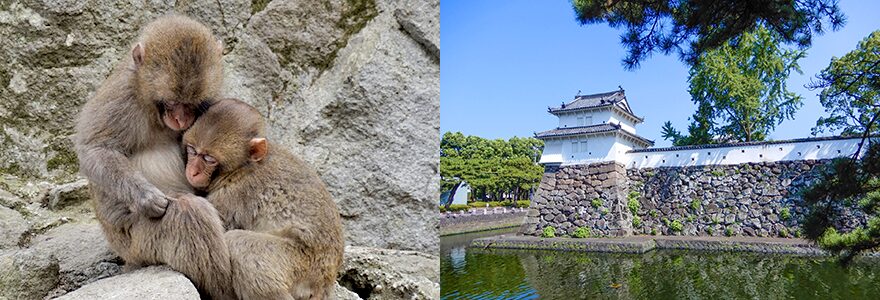 画像:高崎山自然動物園と大分城址公園